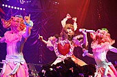 「きゃりーぱみゅぱみゅ、東京公演で【コーチェラ】エピソードを披露＆武道館ワンマンを発表」1枚目/8