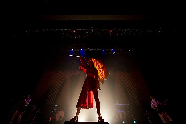 「Viola Kam［V&#039;z Twinkle］」2枚目/11