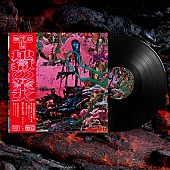 「＜輸入盤LP（初回限定日本語帯付仕様）＞」5枚目/6
