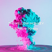 「THE YELLOW MONKEY、ベストAL『30Years 30Hits』全曲試聴ダイジェストムービー公開」1枚目/4