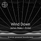 「ジェイムス・ブレイク、安眠アプリのために制作したAL『Wind Down』配信」1枚目/2
