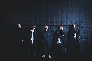 Petit Brabancon CDまとめ売り バラ売り不可 Fetish | Petit Brabancon