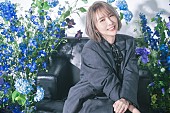 「藍井エイル、“ハッピーな恋愛ソング”ニューシングル『HELLO HELLO HELLO』8月リリース」1枚目/1