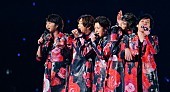 「嵐、ライブ・フィルムを4K ULTRA HD Blu-ray＆Blu-rayでリリース」1枚目/1
