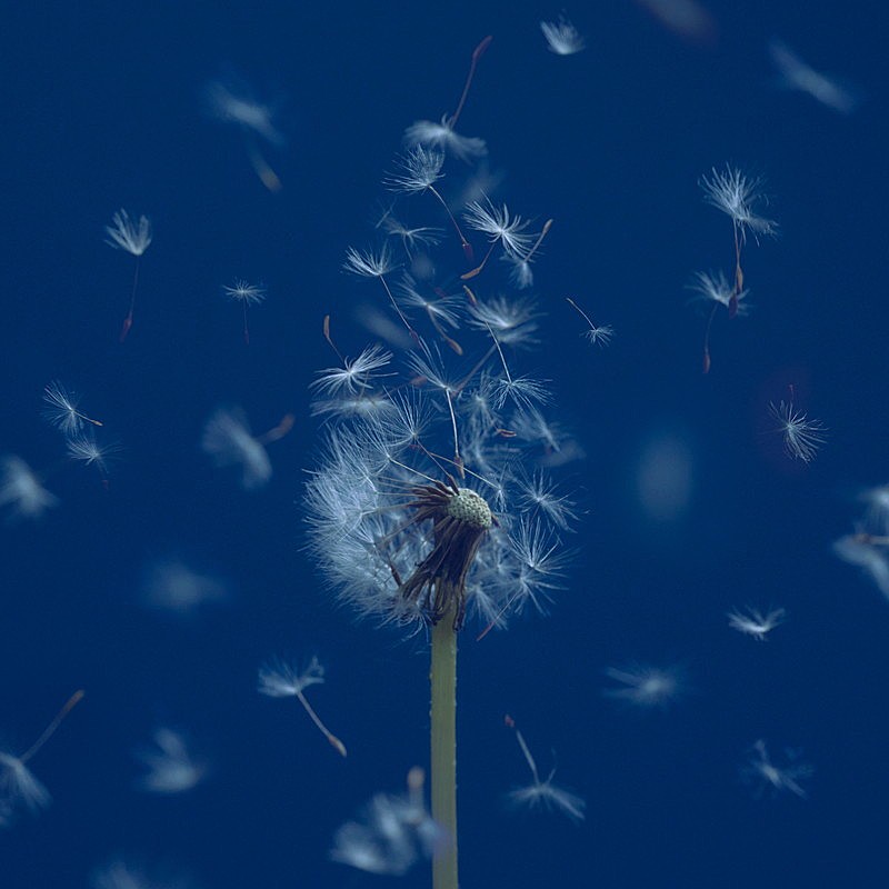 「EP『たましいの居場所』通常盤」3枚目/3