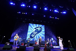 「グループ魂の再結成ライブ収めたBlu-ray BOXが8月31日リリース」