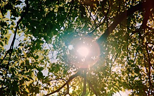 「Anly、新曲「KOMOREBI」MV公開」