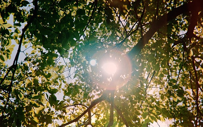 「Anly、新曲「KOMOREBI」MV公開」1枚目/3