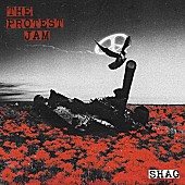 「アルバム『THE PROTEST JAM』」2枚目/2