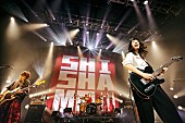 「SHISHAMO、全国制覇となるワンマンツアーを10月からスタート」1枚目/1