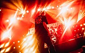 「＜ライブレポート＞coldrain、15年のキャリアを魅せつけた灼熱のツアー初日」1枚目/8