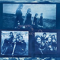 慶*鳥様 欅坂46 櫻坂46 CDシングルアルバムコンプリートセット 200x_image.jpg