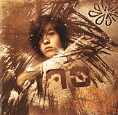 「七尾旅人『雨に撃たえば...! disc2』  」2枚目/7