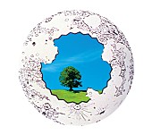 「七尾旅人『ヘヴンリィ・パンク:アダージョ』」4枚目/7