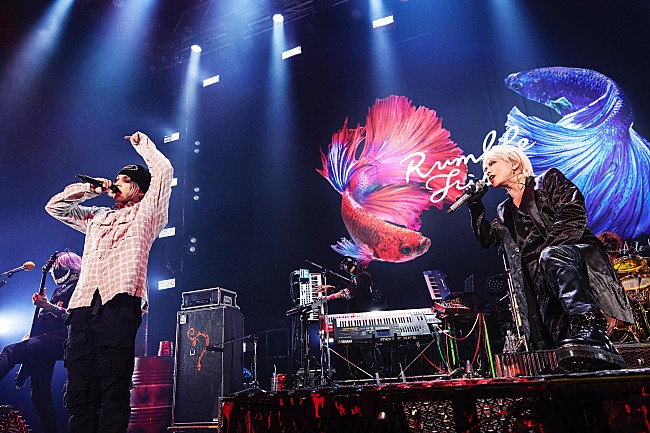 「＜ライヴレポート＞HYDE×CVLTE、絆を深めた対バンがZepp Sapporoで開催「残りの人生をかけ抜けたいと思います」」1枚目/7