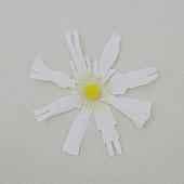 「wacci、「恋だろ」インスト音源配信開始」1枚目/2