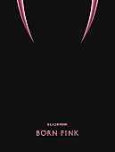 「BLACKPINK アルバム『BORN PINK』＜BOX SET「PINK ver.」＞」2枚目/4