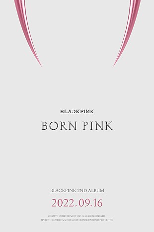 「BLACKPINK、ニューアルバム『BORN PINK』のリリース日を発表」