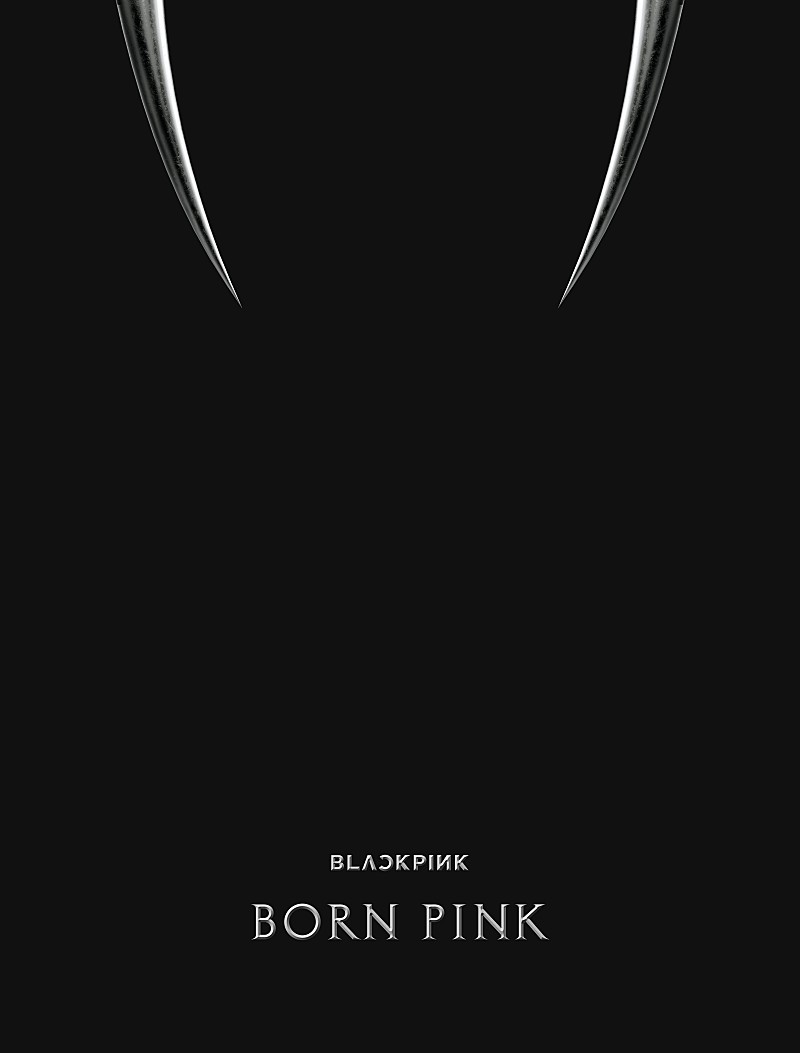 BLACKPINK「BLACKPINK アルバム『BORN PINK』＜BOX SET「BLACK ver.」＞」3枚目/4
