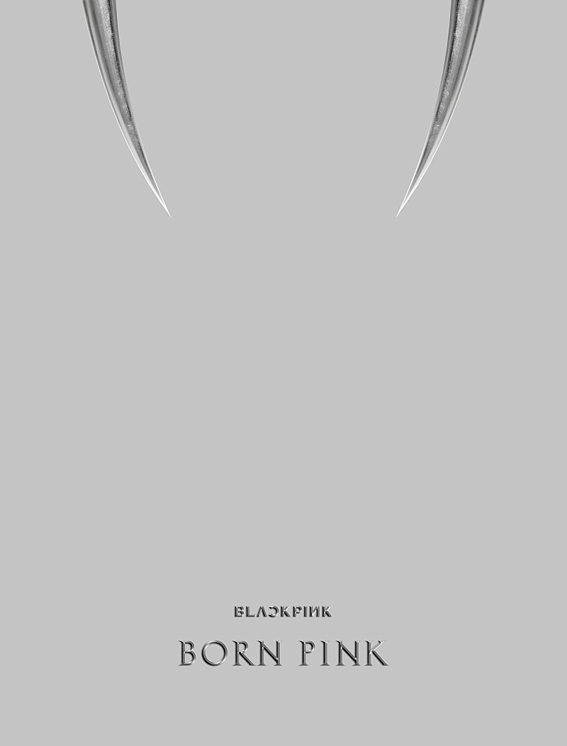 BLACKPINK「BLACKPINK アルバム『BORN PINK』＜BOX SET「GRAY ver.」＞」4枚目/4