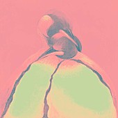 「South Penguin、アルバム『R』より「gadja」の岡田拓郎リミックスをリリース」1枚目/1