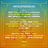 「【中津川 THE SOLAR BUDOKAN 2022】第3弾で元ちとせ、OAU、いとうせいこう is the poetら」1枚目/1