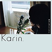 「Karin.「貴方に会いたいのに」8/24配信リリース、本人撮影の写真を使用したアートワーク公開」1枚目/2