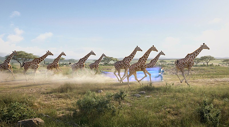 「SKY-HI「Fly Without Wings （Prod. ☆Taku Takahashi （m-flo, block.fm）） -Music Video-」」4枚目/6