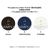 「やくしまるえつこメトロオーケストラ『僕の存在証明』先着購入者特典」7枚目/7