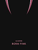 「BLACKPINK アルバム『BORN PINK』BOX SET「PINK ver.」」3枚目/5
