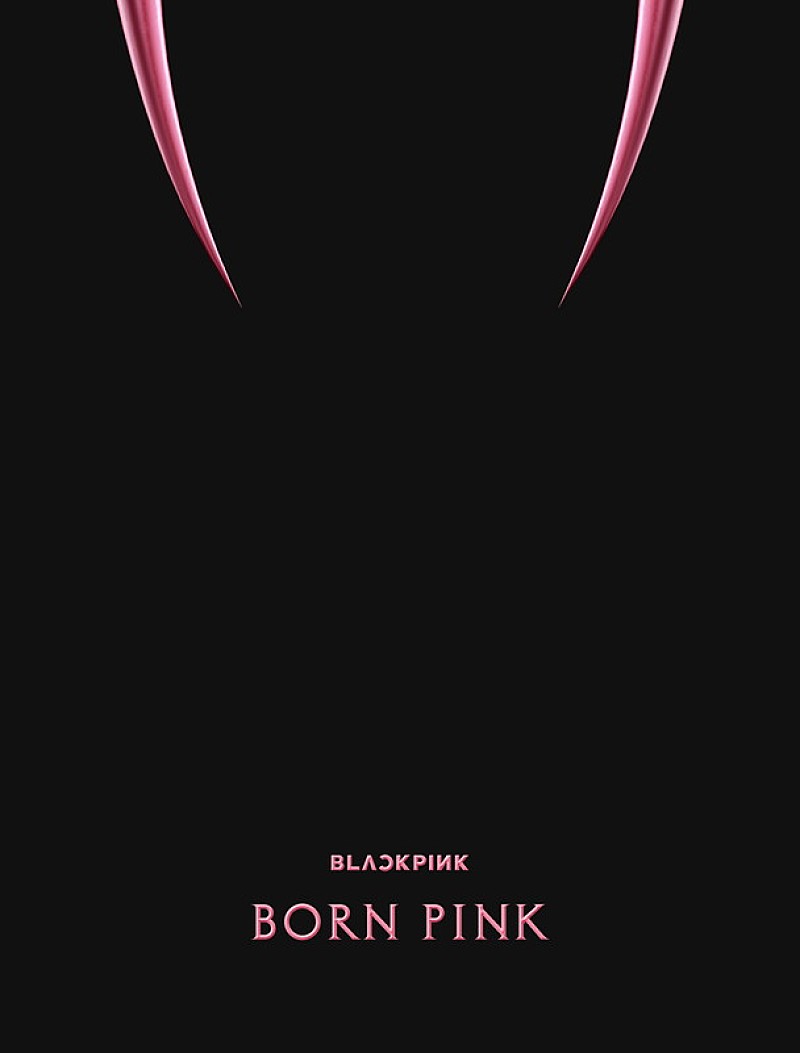 「BLACKPINK アルバム『BORN PINK』BOX SET「PINK ver.」」3枚目/5