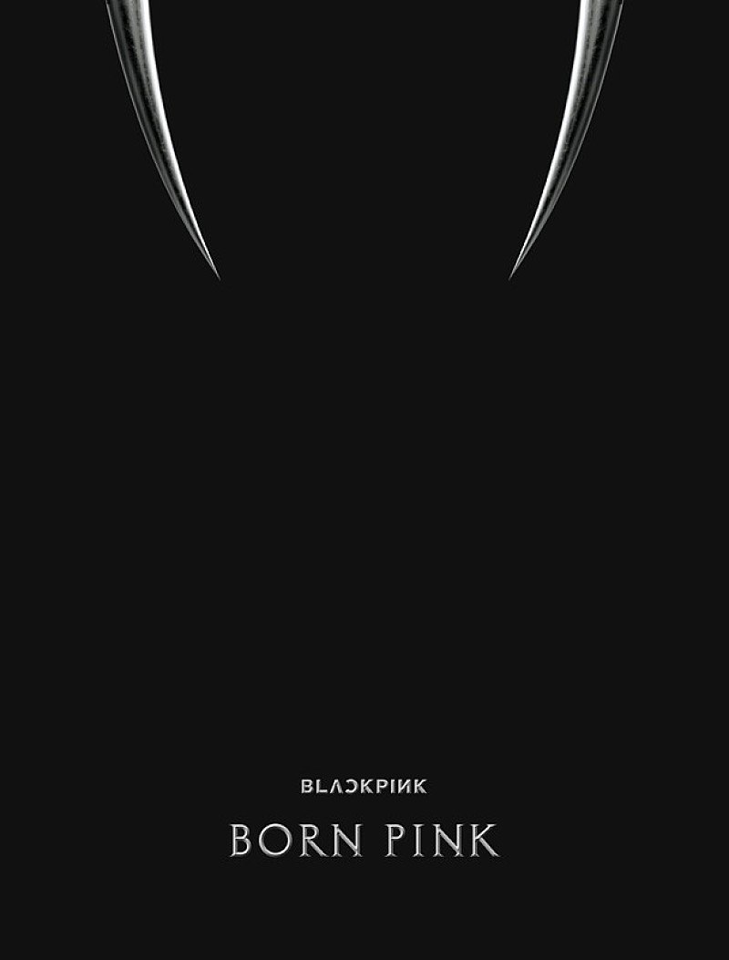 「BLACKPINK アルバム『BORN PINK』BOX SET「BLACK ver.」」4枚目/5