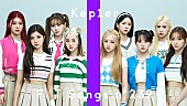 「Kep1er、韓国デビュー曲「WA DA DA」の日本語バージョン披露で初登場＜THE FIRST TAKE＞」1枚目/1