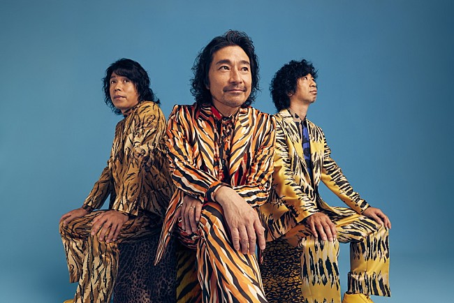 「ウルフルズ、3年ぶりのニューアルバム『楽しいお仕事愛好会』11/9リリース決定」1枚目/1