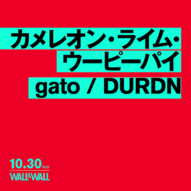 「カメレオン・ライム・ウーピーパイ×gato×DURDNの3マンライブ開催」1枚目/1