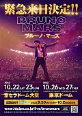 「ブルーノ・マーズ、初ドーム・ツアーが10月に決定」1枚目/1