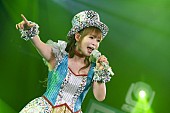 「中川翔子、“全シングル披露3時間越えライブ”のレポート到着　20周年ベストALも発売決定」1枚目/7