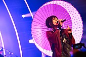 「＜ライブレポート＞和楽器バンド、生演奏で昇華したボカロソングを余すことなく披露」1枚目/4