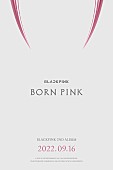 「【米ビルボード・アルバム・チャート】BLACKPINK『BORN PINK』が首位に初登場、バッド・バニー/NCT 127が続く」1枚目/1