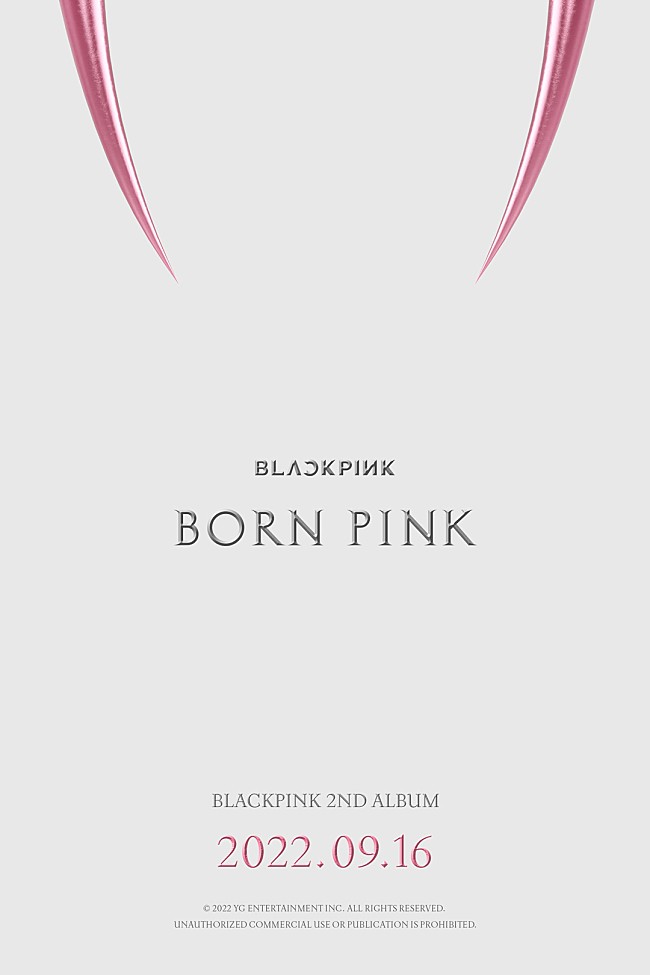 「【米ビルボード・アルバム・チャート】BLACKPINK『BORN PINK』が首位に初登場、バッド・バニー/NCT 127が続く」1枚目/1
