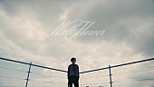 「夜の本気ダンス、新ミニALリードトラック「Wall Flower」MV公開」1枚目/4