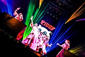 「PIGGS、メジャー1stシングル「負けんなBABY」リリースを発表」1枚目/6