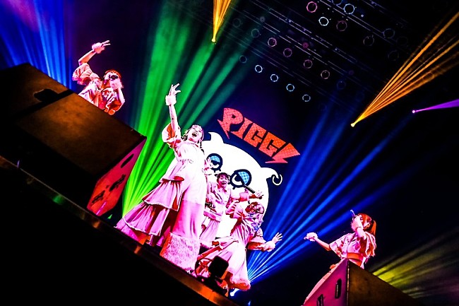 「PIGGS、メジャー1stシングル「負けんなBABY」リリースを発表」1枚目/6