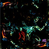 「オワリズム弁慶の復活第2弾シングル「破」配信リリース、ゲストラッパーはDOTAMA」1枚目/7