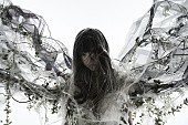「Aimer、2023年春に全国アリーナツアー開催決定」1枚目/5