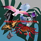 「Half Mile Beach Club、サイトウ“JxJx”ジュンを迎えた新曲「Vibrant Sun」のMVを公開」1枚目/2