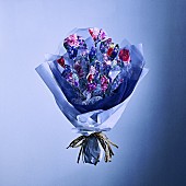 「	秋山黄色 シングル『SKETCH』 」2枚目/3