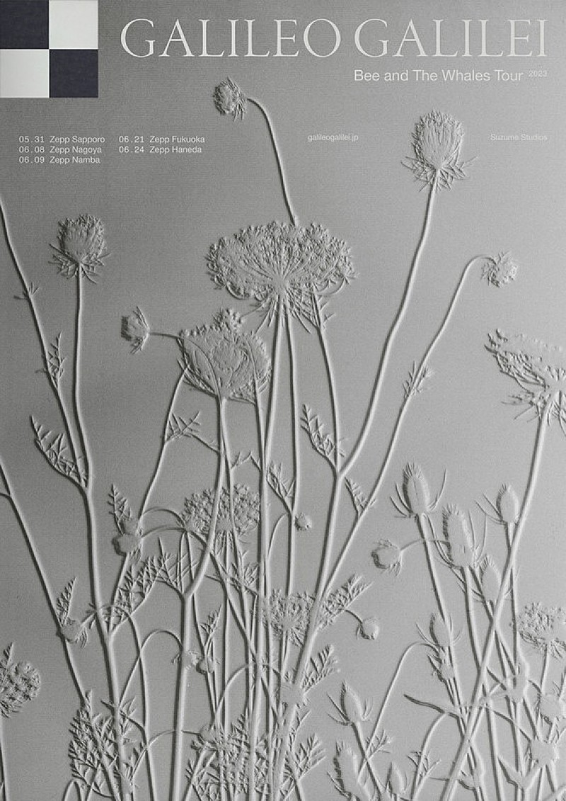 「【Galileo Galilei “Bee and The Whales” Tour 2023】」2枚目/2