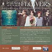 「go!go!vanillas、AL『FLOWERS』限定盤付属BD/DVDトレーラー映像公開」1枚目/4