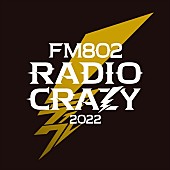 ＥＬＬＥＧＡＲＤＥＮ「【FM802 RADIO CRAZY】ELLEGARDEN／くるり／[Alexandros]ら第2弾出演アーティスト15組発表」1枚目/2